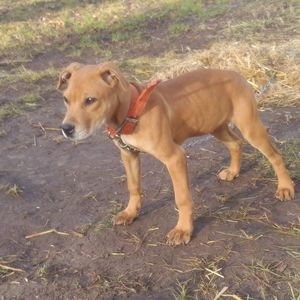 Meet your Posher, Terrell